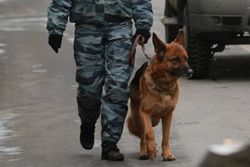В городах Сургут и Нижневартовск проведена проверка  анонимного сообщения о террористической угрозе