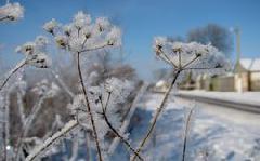 МЧС информирует: в период 01-08 февраля 2019 г. по Ханты-Мансийскому автономному округу - Югре ожидается понижение температуры воздуха