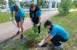 Югорчане приняли участие в эстафете высадки деревьев «Сад дружбы»