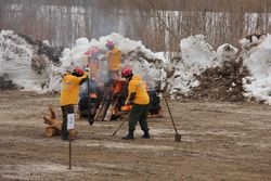Готовность Югры к лесопожарному сезону обсудят в Югорске