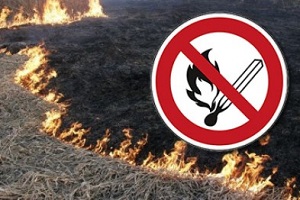 В Югорске объявлен особый противопожарный режим