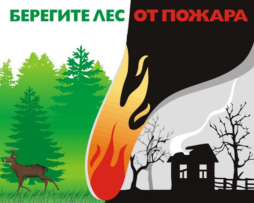 Берегите лес!