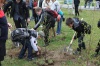 Всероссийский день посадки леса в Югорске