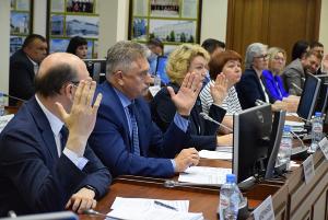 Депутаты утвердили изменения в Правила благоустройства территории города