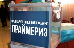 Депутаты городской Думы подали заявления на участие в предварительном голосовании 