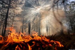 О профилактических мероприятиях при наличии задымленности атмосферного воздуха, вызванной лесными пожарам