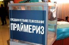 Депутаты городской Думы подали заявления на участие в предварительном голосовании 
