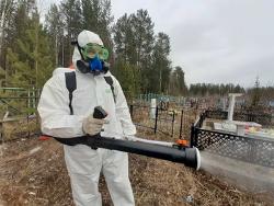 В Югорске от клещей обработают территорию площадью более 110 Га