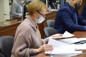 Депутаты рассмотрели 12 вопросов на заседании Думской комиссии