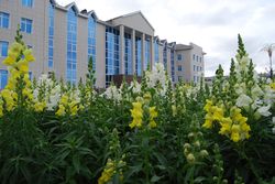 Югорск лучший муниципалитет Югры в сфере охраны окружающей среды