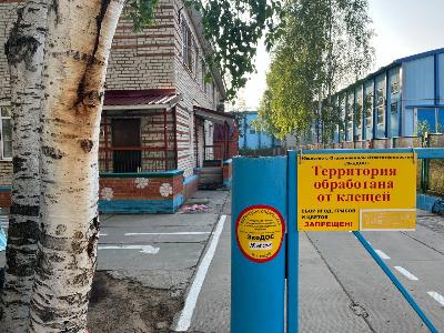 Клещи не пройдут