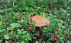 Уважаемые югорчане!