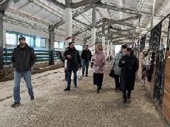 Депутаты Думы побывали в конноспортивном клубе «Аллюр».