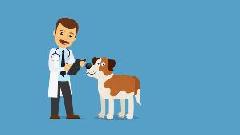 Вакцинируйте своих питомцев бесплатно 