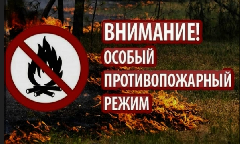 Особый противопожарный режим с 25.04.2026 по 15.05.2026