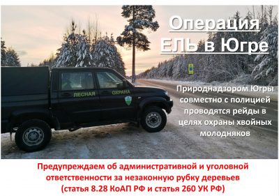 Операция Ель.jpg